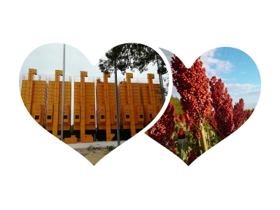 �����Zʳ��əC�DƬ