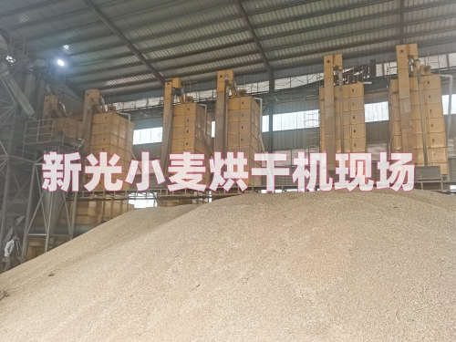 新光小麥干燥機(jī)現(xiàn)場(chǎng) 新光小麥干燥機(jī)現(xiàn)場(chǎng)