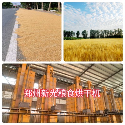 新光糧食烘干機(jī) 新光糧食烘干機(jī)