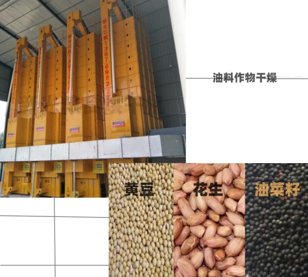 新光糧食烘干機 新光糧食烘干機