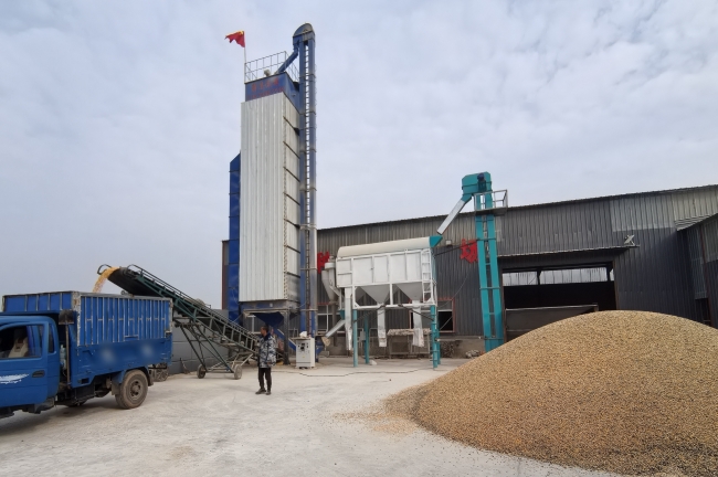 �Zʳ�����