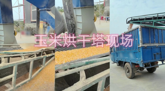 �Zʳ������F(xi��n)��(ch��ng)